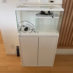 Gex60cm水槽、水槽台、ライトセット