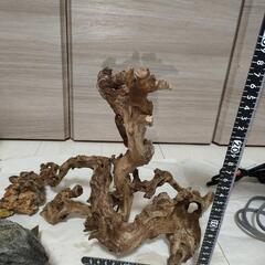 水槽レイアウト素材セットの画像