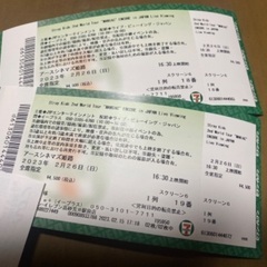 ストレイキッズ（2/26分ライブビューイングチケット）