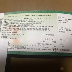 ストレイキッズ（2/25分ライブビューイングチケット）