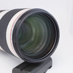 EF70-200mm f2.8L IS II USM ＆エクステンダー 1.4 Canon EF70-200mm F2.8L IS II + Extender 1.4x II