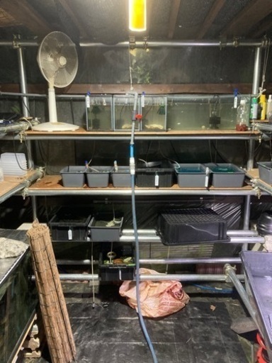 単管　2メートル、2.5メートル、3メートル　まとめて！買い取り決定しました！