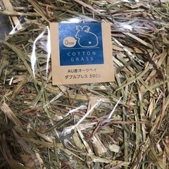 うさぎ用品4️⃣
