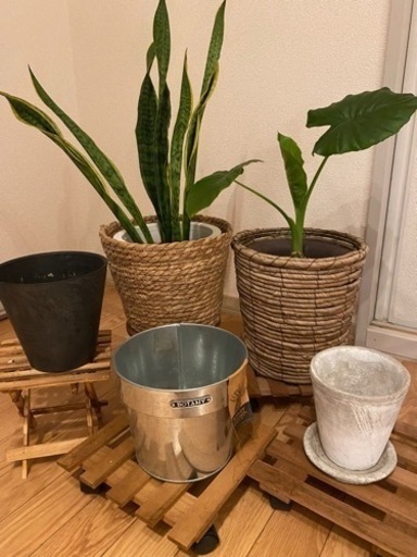 植物　ガーデニング用品　まとめてセット