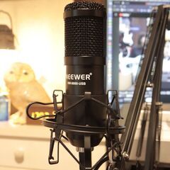 更に値下げ☆NEEWER☆NW-8000☆USB☆コンデンサーマイク☆録音用☆美品！の画像