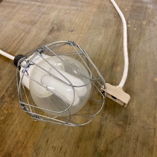 はだか電灯1