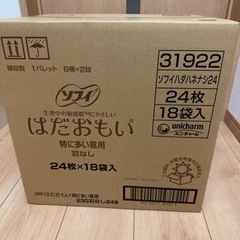 残り3ケース！！ソフィ　はだおもい　特に多い昼用　羽なし　18袋入り