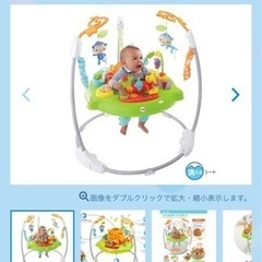 レインフォレスト・ジャンパルーⅡ