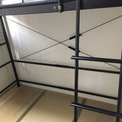 ベット差し上げます！の画像