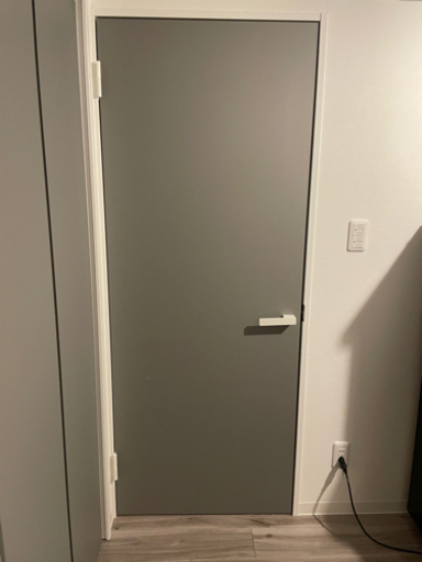 LIXIL ラフィスドア 本体 新品