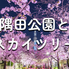 学生無料｜解説付き！隅田川エリアの歴史散歩＆桜鑑賞会♪※雨天中止
