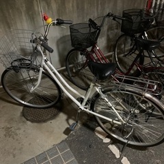 自転車 🐥⛑