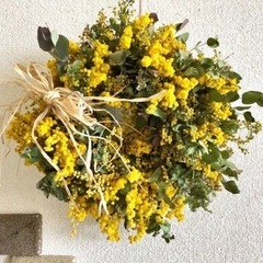 ミモザ　花