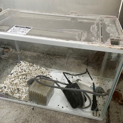 水槽セット40センチくらい？