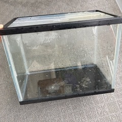 水槽