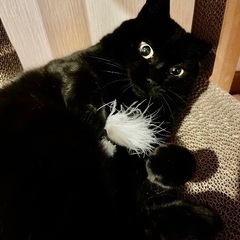 数々のハンデあれこそ幸せにして下さい
