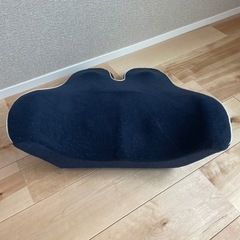 腰痛クッションの画像