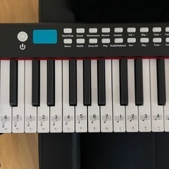 CEULA  黒 電子ピアノ 88鍵盤 スリム 軽量 10mmストローク MIDI対応 長時間駆動バッテリー ソフトケース 譜面台 練習用イヤホンコンパクト 軽量 スリムデザイン ワイヤレスMIDI対応 midiキーボード 練習用イヤホン 鍵盤シール付き PL保険加入済 PSE認証済の画像