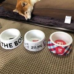 ZEEDOG 餌入れ、水入れ