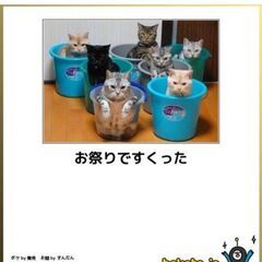 【募集】2/23 ねこまつりフェス@湯島　同行者募集 − 東京都