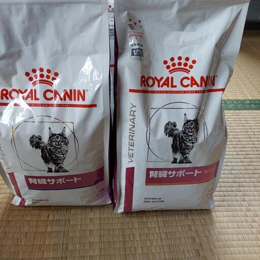 猫の餌( CANIN)