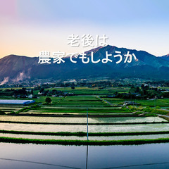 【大分県日田市】旅館の厨房で腕をふるってくれる和食調理師の方を探...