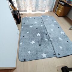 【値下げしました】カーペット(電気式ではありません)(ニトリ製)