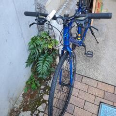 ロードバイク centurionの画像