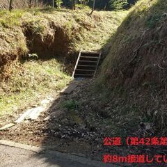 ⛺横浜市緑区の土地🐶　使い方はアイデア次第の山林・竹林４,２３９㎡（１,２８２坪）！ - 横浜市