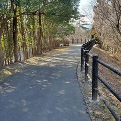 ウォーキング仲間募集！