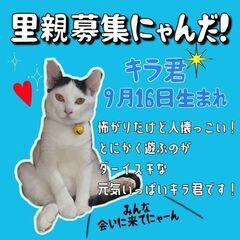 生後5ヶ月位　忍者ごっこが大好きなとっても可愛いキラ君【3/5(...