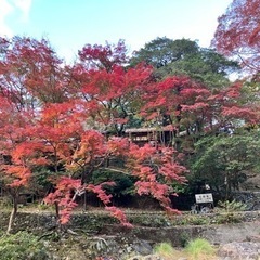 急募です⚒日払い、週払い⚒
