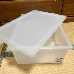 コンテナ　クリアコンテナL浅型の画像