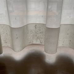 レースカーテン　白　ドット柄　1の画像