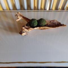 おっしゃれダイニングテーブル ６人用 [モデルルーム]の画像