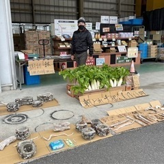 よろずや高知　フリマand大根祭り開催中