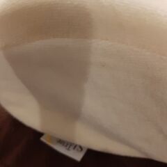 トゥルースリーパーの枕の画像