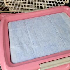 犬用トイレトレー　レギュラーサイズ　