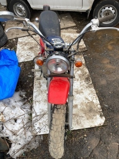 HONDA APE(受け渡し予定者決定)