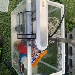 水槽　2個の画像