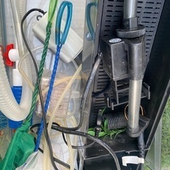 水槽　2個の画像