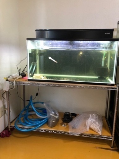 水槽 生体　水槽台　まとめ売り　水槽90cm 60cm エンドリケリー　バラマンディ