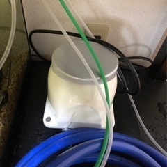 水槽 生体 水槽台 まとめ売り 水槽90cm 60cm エンドリケリー バラマンディ