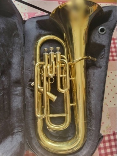 【ユーフォニアム】SELVA Euphonium SELVA  SEP-100GL
