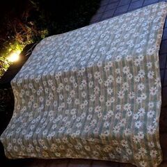 無料☆電気カーペット174cmx174cm 2畳の画像