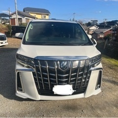 アルファード30後期　sc