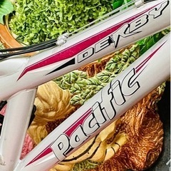 パナソニック 電動自転車用バッテリー 8.9Ah 受付終了]致しました Wサス安定度抜群 PaciFic DERBY 3X6 18段式