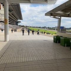 フェブラリーステークス