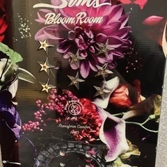 sims スノーボードの画像