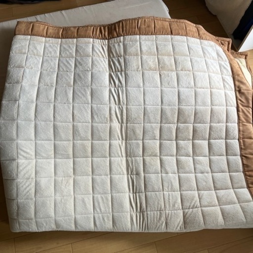 3000円→1000円　カーペット　190×240cm 約2.9畳